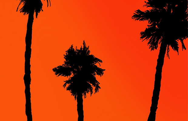 Three palm trees are silhouetted against an orange sky.