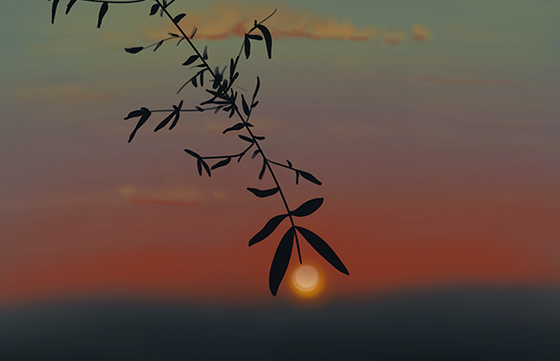 The sun hangs in the sky lined up perfectly with a silhouetted tree branch to look like a berry.